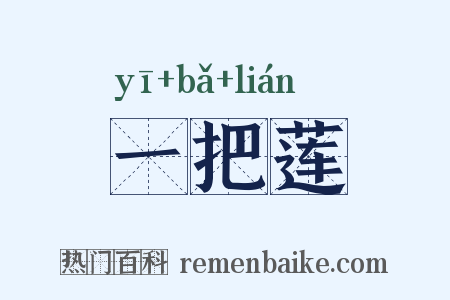 一把莲是什么意思的图片